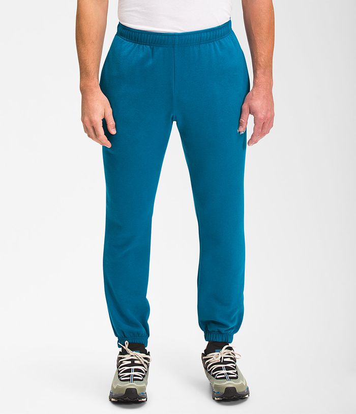 The North Face Broek Heren Box Nse Jogger WSUQ98734 - Blauw